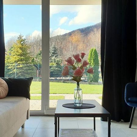 Apartamenty Nad Zylica Przy Deptaku - Dream Apart Szczyrk Buitenkant foto