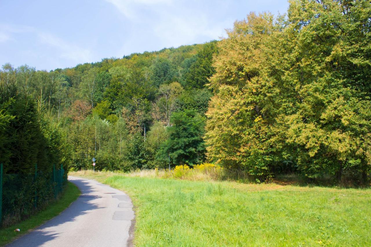 Apartamenty Nad Zylica Przy Deptaku - Dream Apart Szczyrk Buitenkant foto